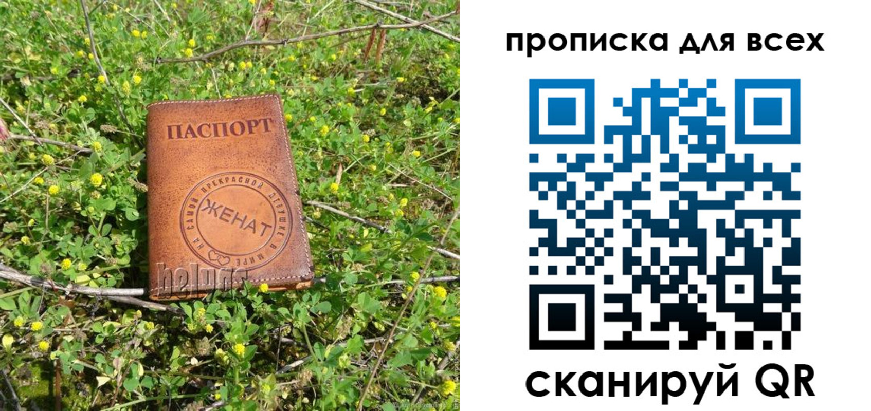 прописка поиск в Поворино
